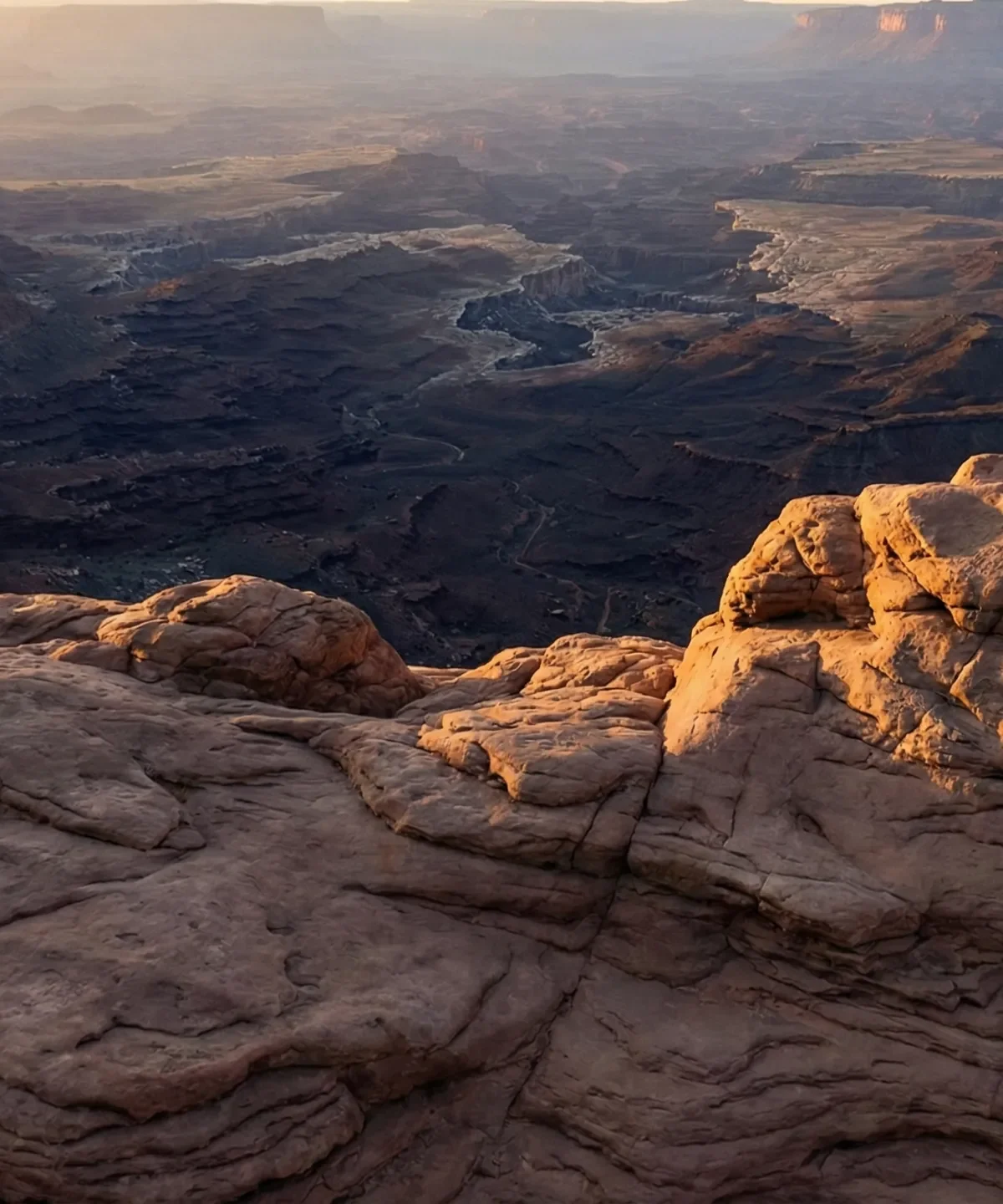 Canyon rim at golden hour